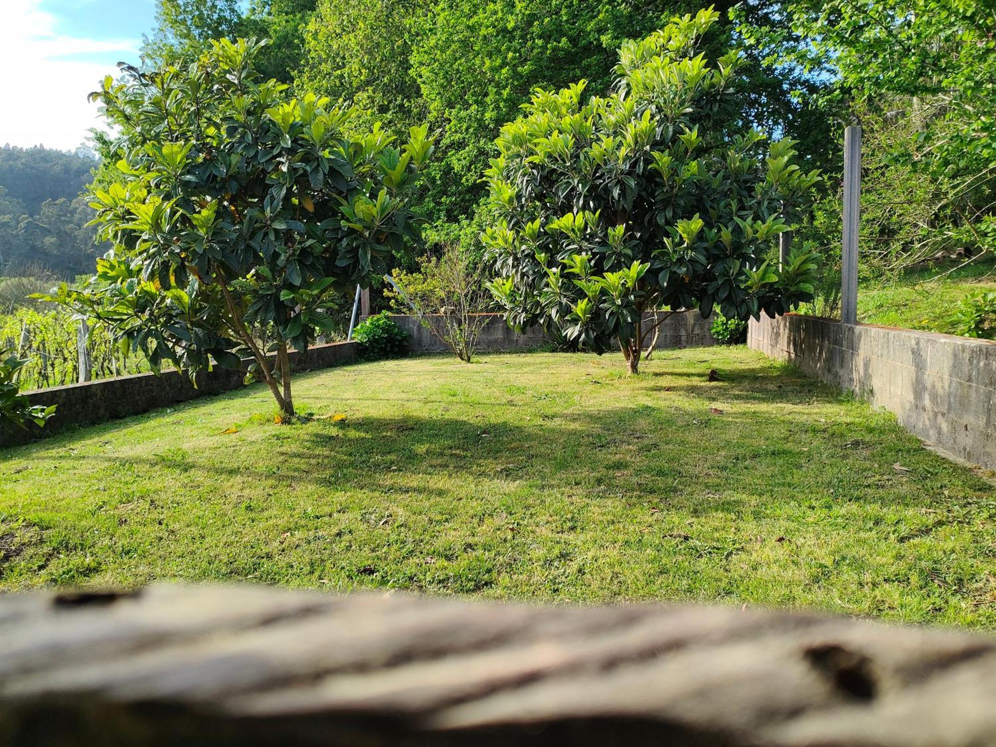Vakantiehuis Casa Turistica A Ardina